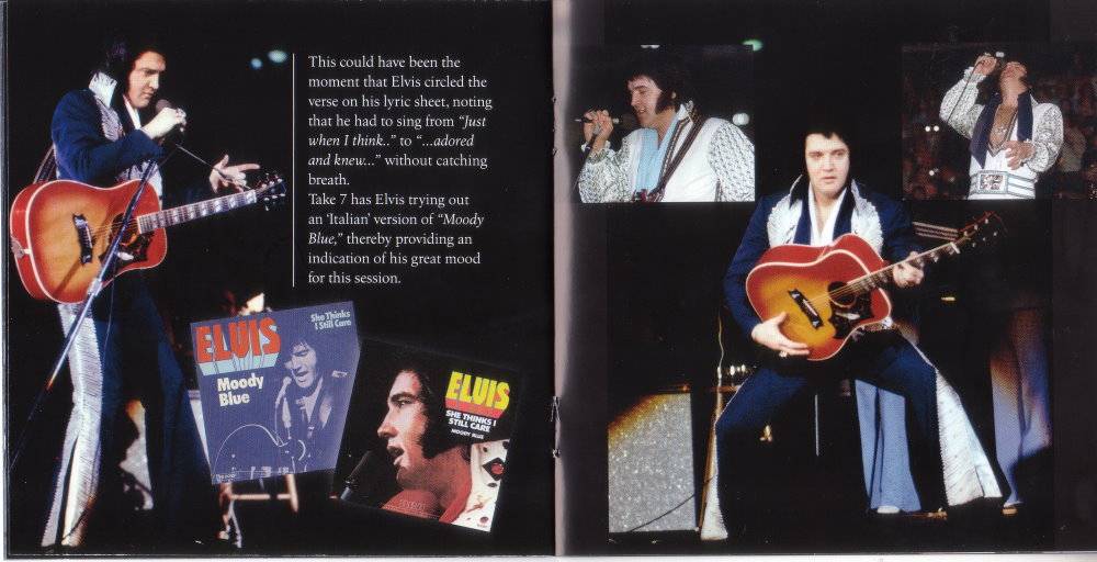 Elvis Presley Welcome To The Jungle Solitaire : Booklet 5